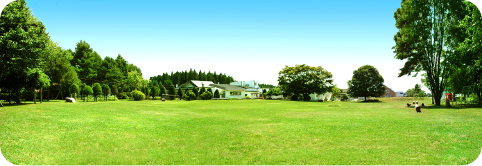 ひろびろ庭園、夏場の様子です。