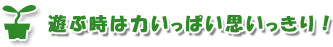 遊ぶ時は力いっぱい思いっきり！