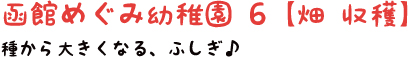函館めぐみ幼稚園6【畑 収穫】
